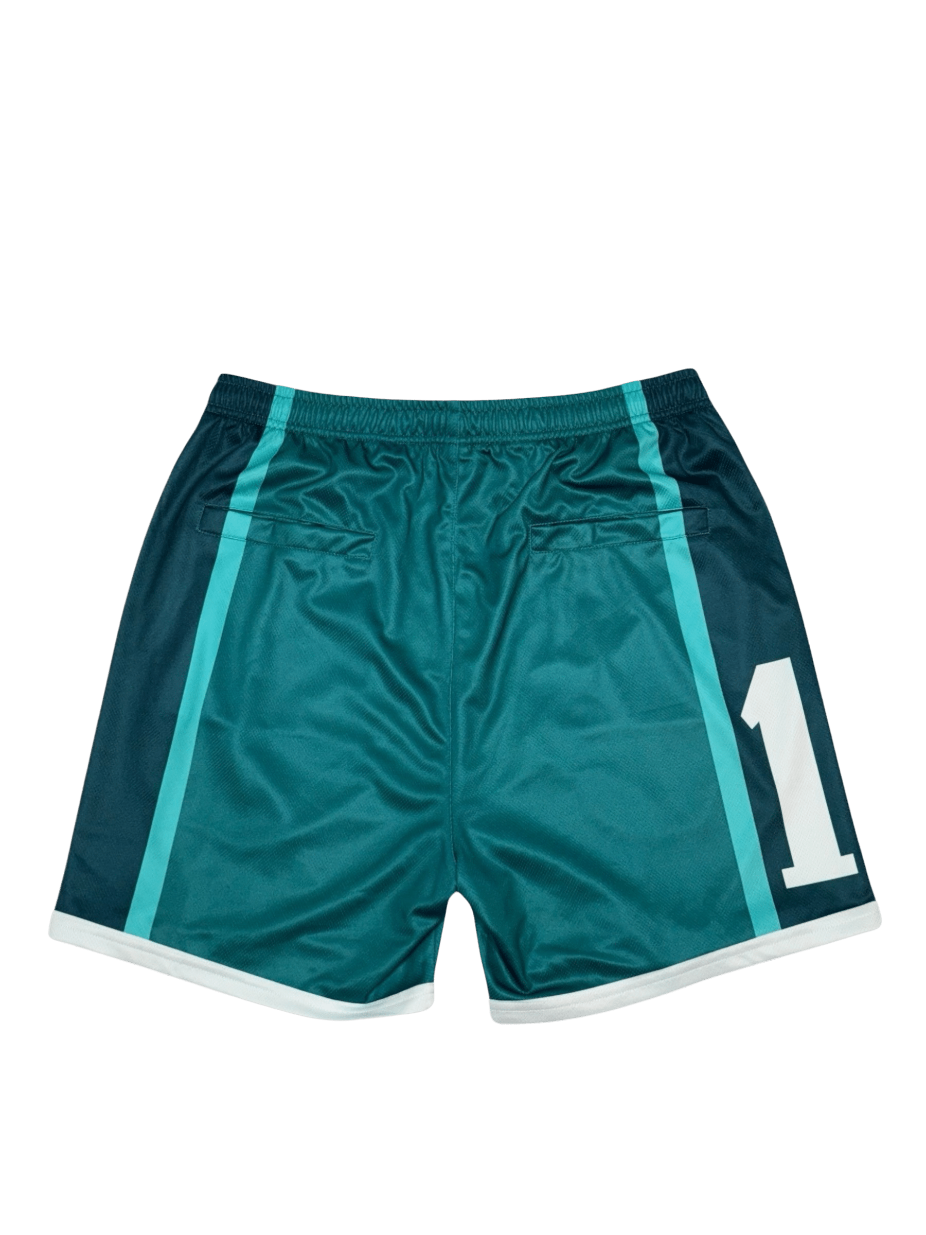 Mesh shorts 19 - nobleindeed