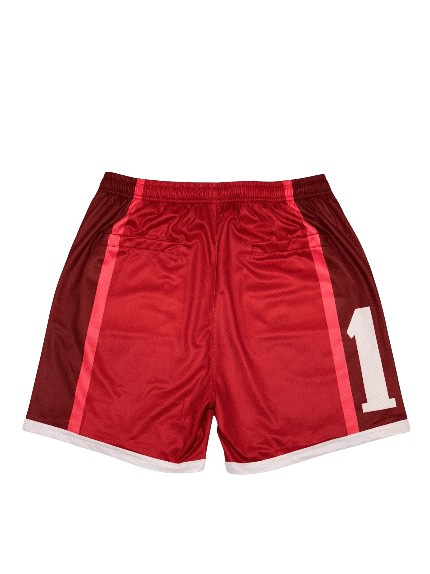 Mesh shorts 19 - nobleindeed